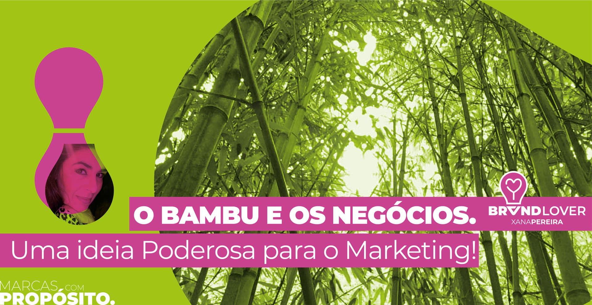 XANA PEREIRA Marketing e o Bambu!